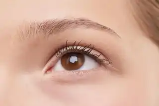 Stratification des sourcils